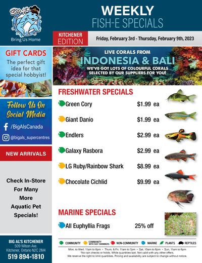Big Al's (Kitchener) Weekly Specials February 3 to 9