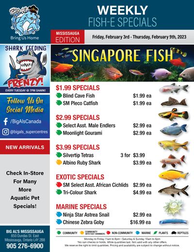 Big Al's (Mississauga) Weekly Specials February 3 to 9 Big Al's (Mississauga) Weekly Specials February 3 to 9