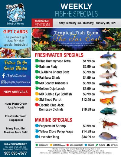 Big Al's (Newmarket) Weekly Specials February 3 to 9