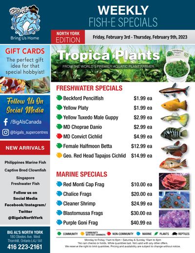 Big Al's (North York) Weekly Specials February 3 to 9