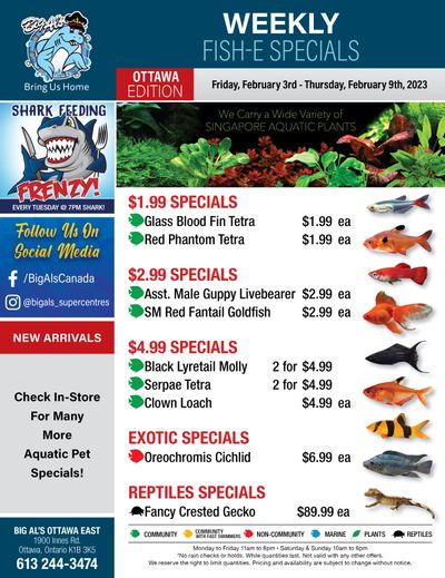 Big Al's (Ottawa East) Weekly Specials February 3 to 9
