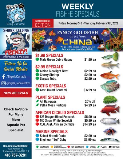Big Al's (Scarborough) Weekly Specials February 3 to 9