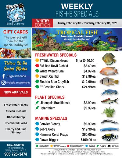 Big Al's (Whitby) Weekly Specials February 3 to 9