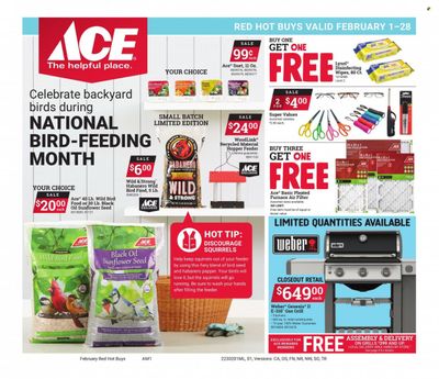 ACE Hardware Weekly Ad Flyer Specials February 1 to February 28, 2023