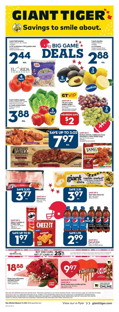 Giant Tiger (ON) Flyer February 8 to 14