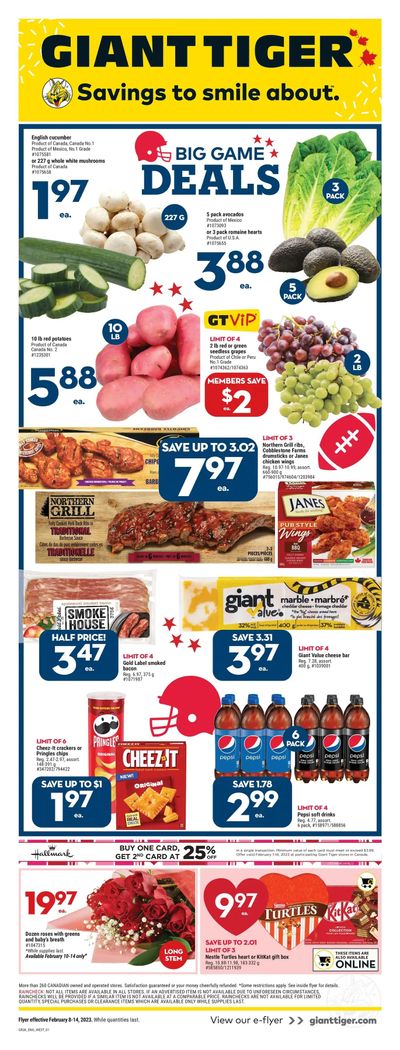 Giant Tiger (West) Flyer February 8 to 14