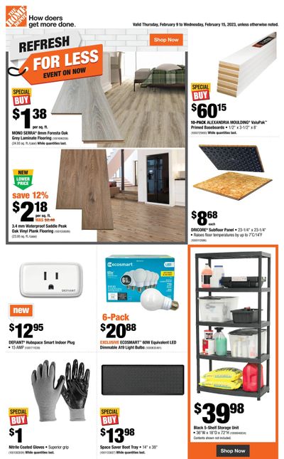 Home Depot (Atlantic) Flyer February 9 to 15