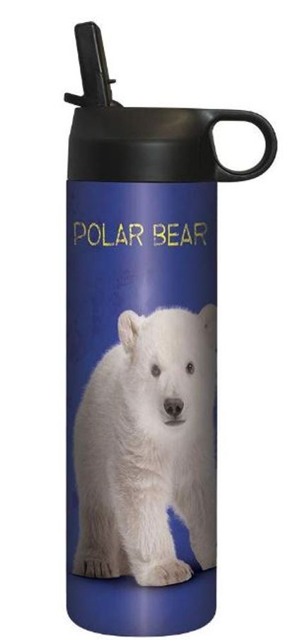 Tree-Free Greetings SP67309 Sportiva Stainless Steel Tumbler Double-Walled and Vacuum Insulated Cup with Straw, 17 Ounce, Polar Baby Bear For $4.80 At Amazon Canada