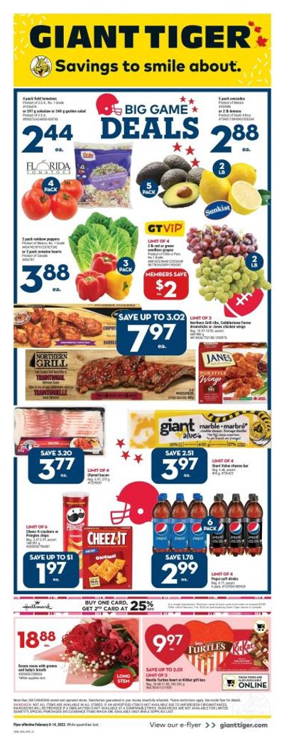 Giant Tiger Canada Flyer Deals February 9th – 14th