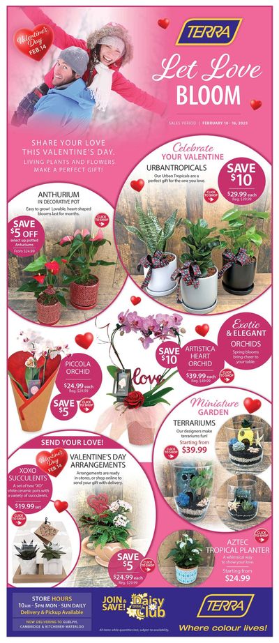 Terra Greenhouses Flyer February 10 to 16