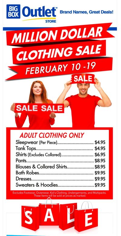 Big Box Outlet Store Flyer February 10 to 19