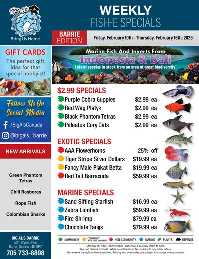 Big Al's (Barrie) Weekly Specials February 10 to 16
