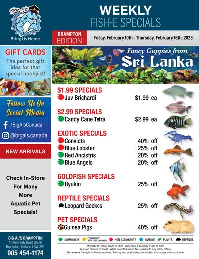 Big Al's (Brampton) Weekly Specials February 10 to 16