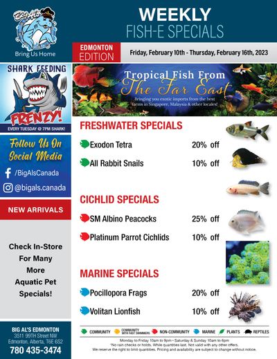 Big Al's (Edmonton) Weekly Specials February 10 to 16