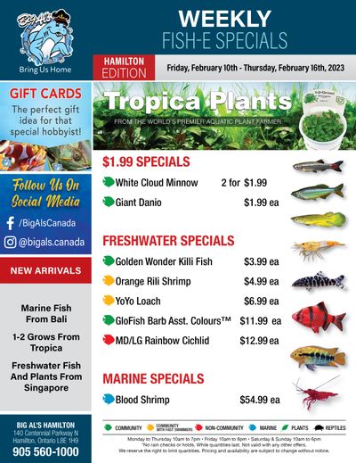 Big Al's (Hamilton) Weekly Specials February 10 to 16