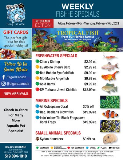 Big Al's (Kitchener) Weekly Specials February 10 to 16