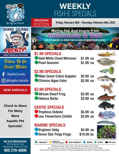 Big Al's (Mississauga) Weekly Specials February 10 to 16