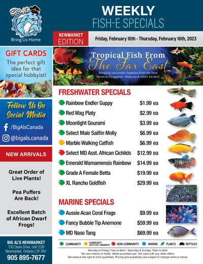 Big Al's (Newmarket) Weekly Specials February 10 to 16