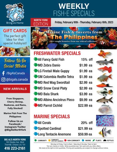 Big Al's (North York) Weekly Specials February 10 to 16 Big Al's (North York) Weekly Specials February 10 to 16