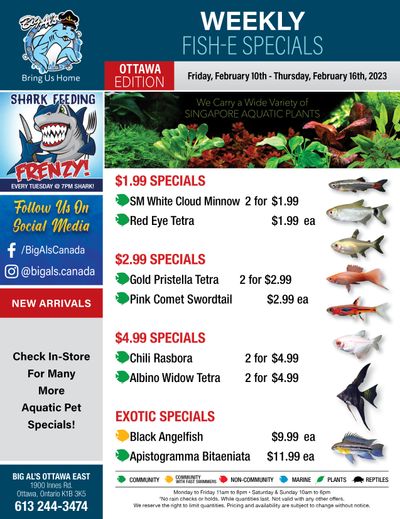Big Al's (Ottawa East) Weekly Specials February 10 to 16