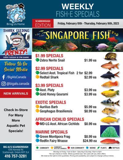 Big Al's (Scarborough) Weekly Specials February 10 to 16