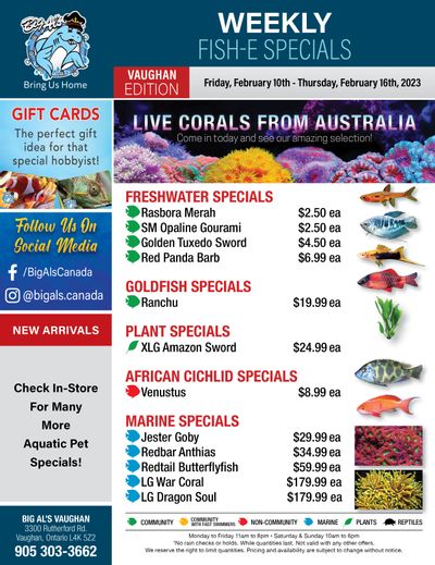 Big Al's (Vaughan) Weekly Specials February 10 to 16