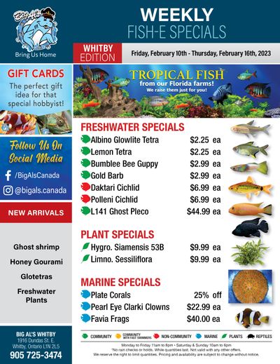 Big Al's (Whitby) Weekly Specials February 10 to 16