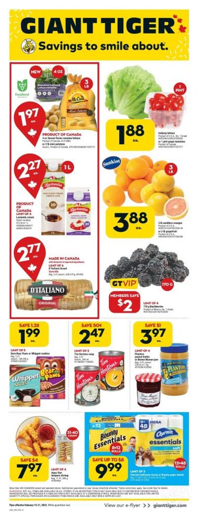 Giant Tiger Canada Flyer Deals February 15th – 21st