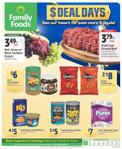 Family Foods Flyer February 16 to 22