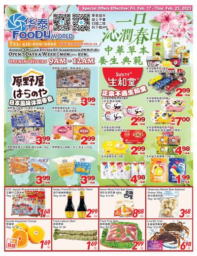 Foody World Flyer February 17 to 23
