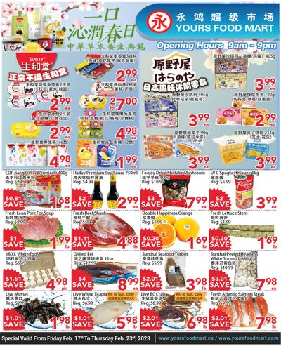 Yours Food Mart Flyer February 17 to 23