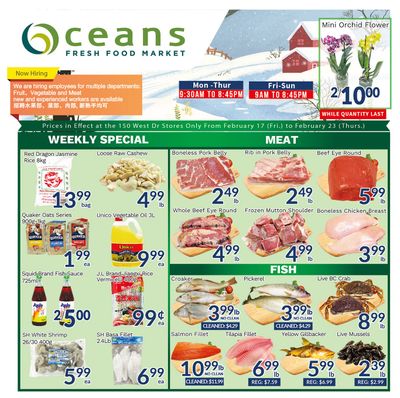 Oceans Fresh Food Market (West Dr., Brampton) Flyer February 17 to 23
