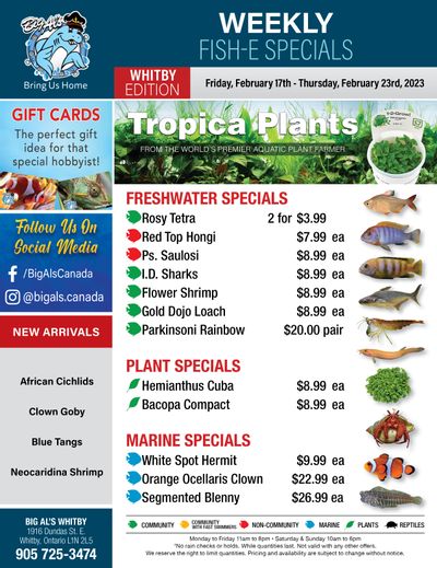 Big Al's (Whitby) Weekly Specials February 17 to 23