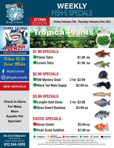 Big Al's (Ottawa East) Weekly Specials February 17 to 23