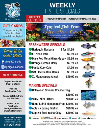 Big Al's (North York) Weekly Specials February 17 to 23