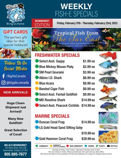 Big Al's (Newmarket) Weekly Specials February 17 to 23