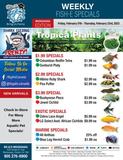 Big Al's (Mississauga) Weekly Specials February 17 to 23