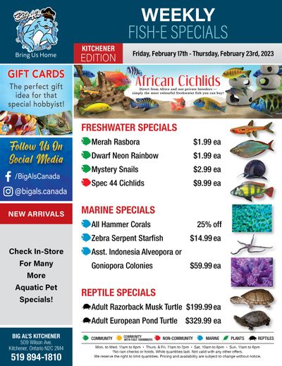 Big Al's (Kitchener) Weekly Specials February 17 to 23