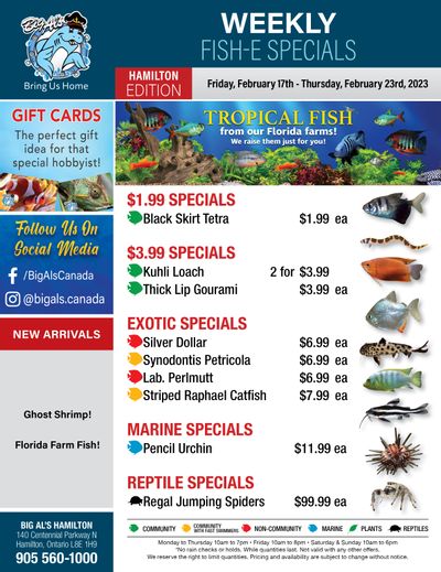 Big Al's (Hamilton) Weekly Specials February 17 to 23