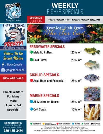 Big Al's (Edmonton) Weekly Specials February 17 to 23 Big Al's (Edmonton) Weekly Specials February 17 to 23