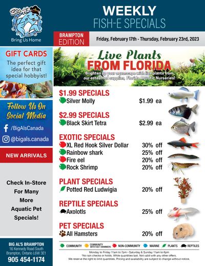 Big Al's (Brampton) Weekly Specials February 17 to 23