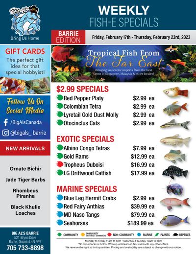 Big Al's (Barrie) Weekly Specials February 17 to 23