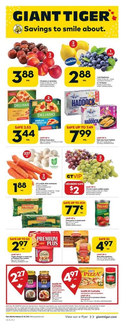 Giant Tiger Canada Flyer Deals February 22nd – 28th