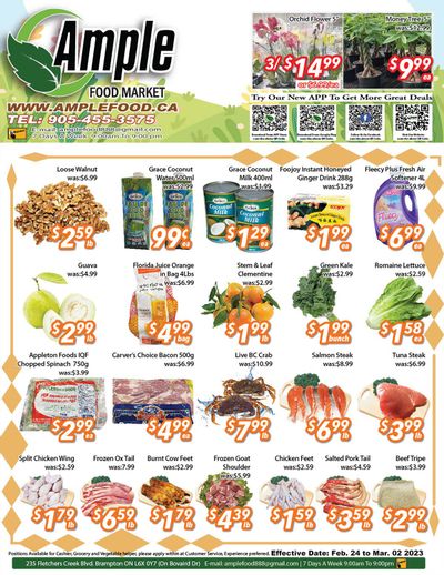 Ample Food Market (Brampton) Flyer February 24 to March 2