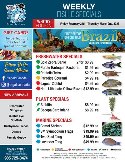 Big Al's (Whitby) Weekly Specials February 24 to March 2