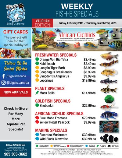 Big Al's (Vaughan) Weekly Specials February 24 to March 2