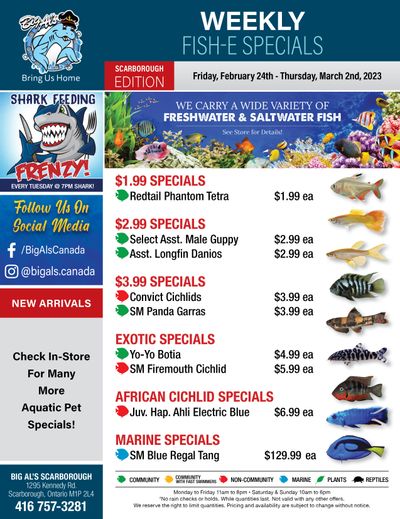 Big Al's (Scarborough) Weekly Specials February 24 to March 2