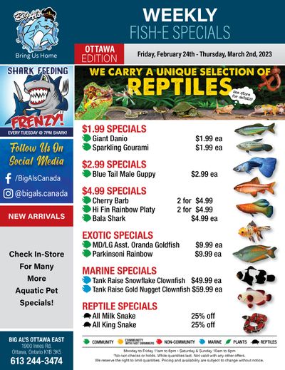 Big Al's (Ottawa East) Weekly Specials February 24 to March 2