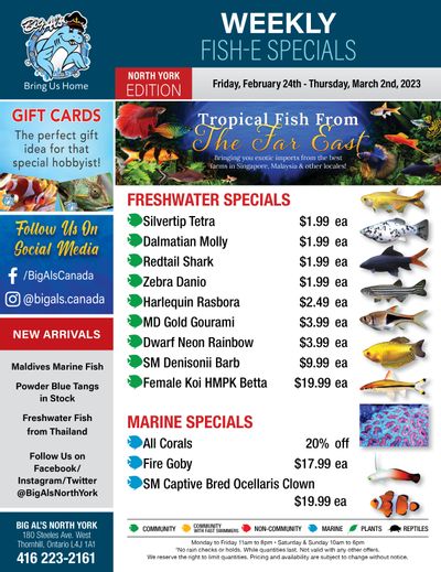 Big Al's (North York) Weekly Specials February 24 to March 2