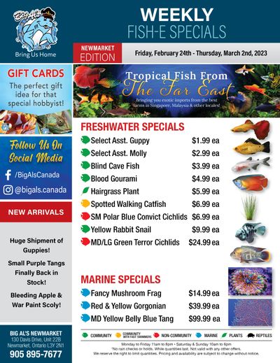 Big Al's (Newmarket) Weekly Specials February 24 to March 2